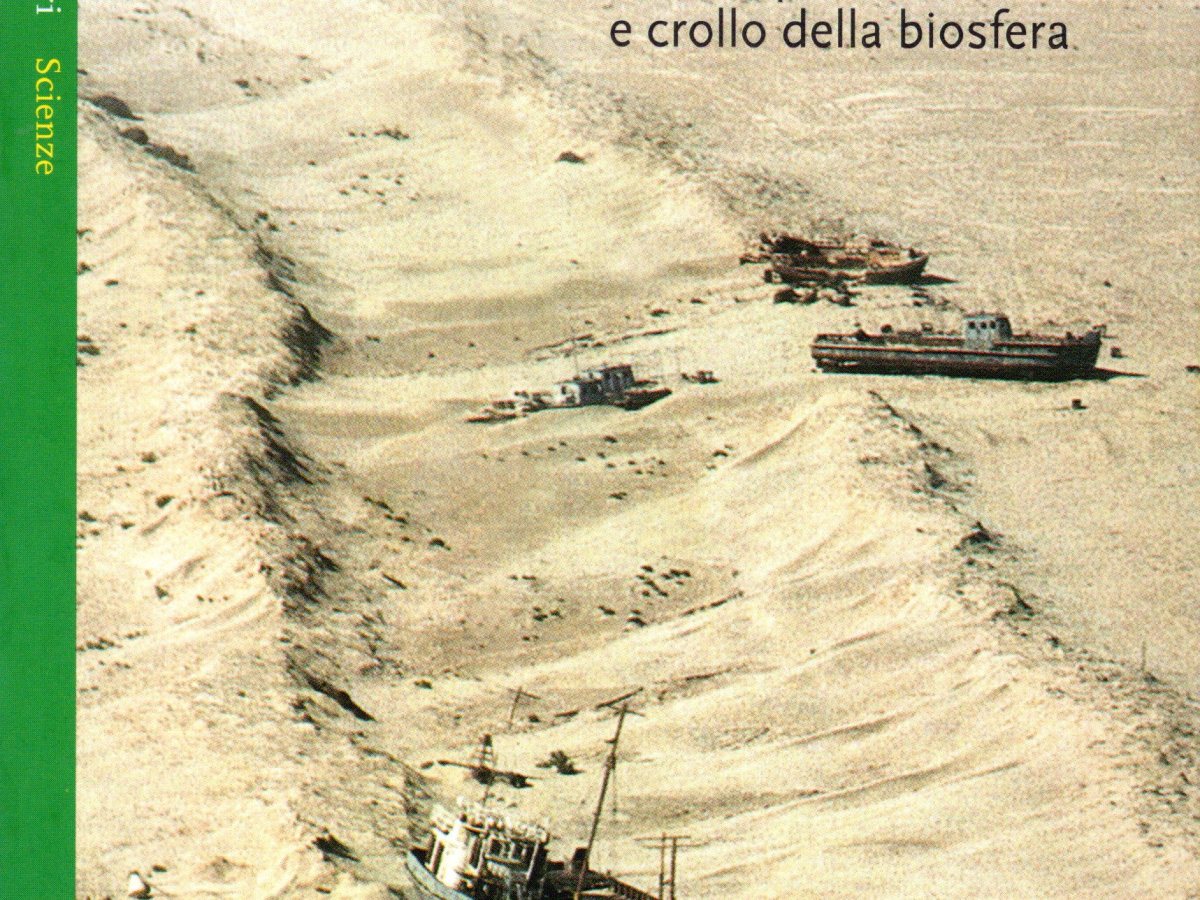 Assalto al pianeta. Attività produttiva e crollo della&nbsp;biosfera